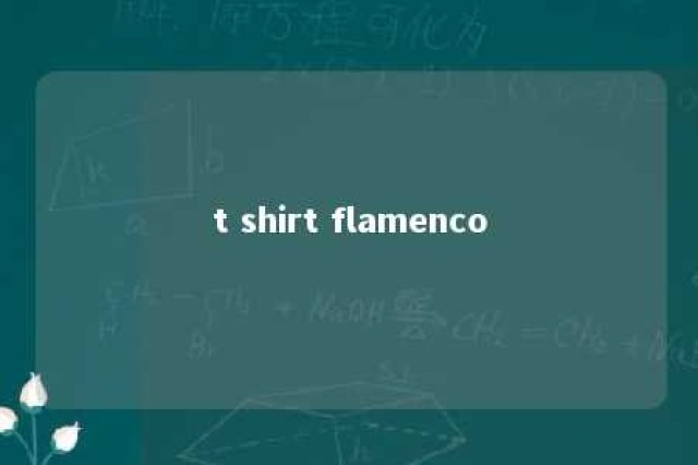 t shirt flamenco 