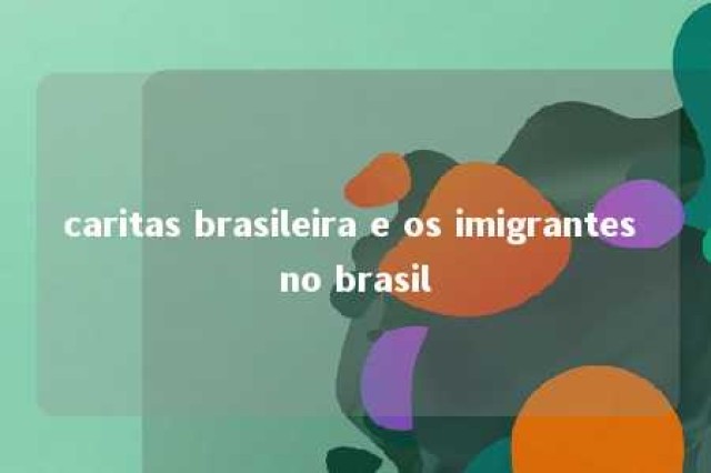 caritas brasileira e os imigrantes no brasil 