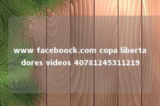 www faceboock.com copa libertadores videos 40781245311219 