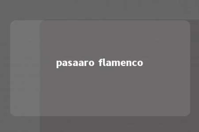 pasaaro flamenco 