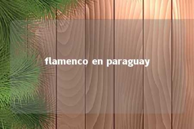 flamenco en paraguay 