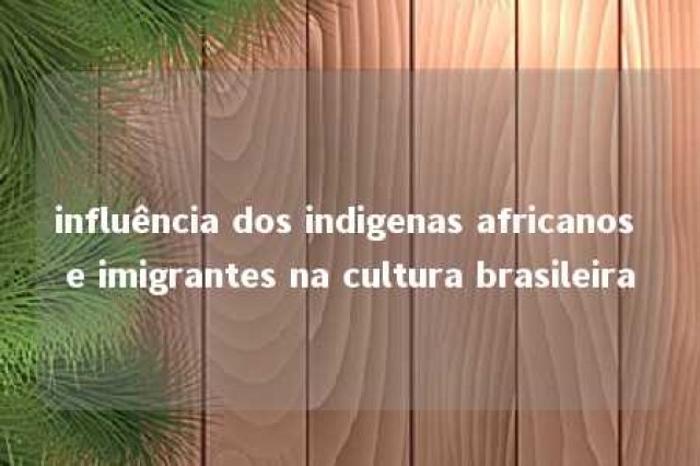 influência dos indigenas africanos e imigrantes na cultura brasileira 