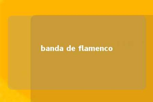 banda de flamenco 