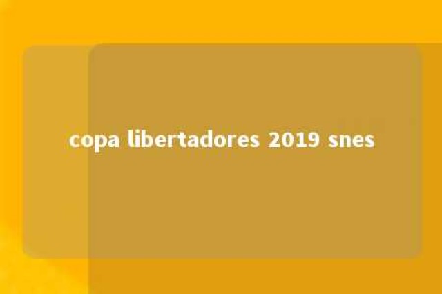 copa libertadores 2019 snes 