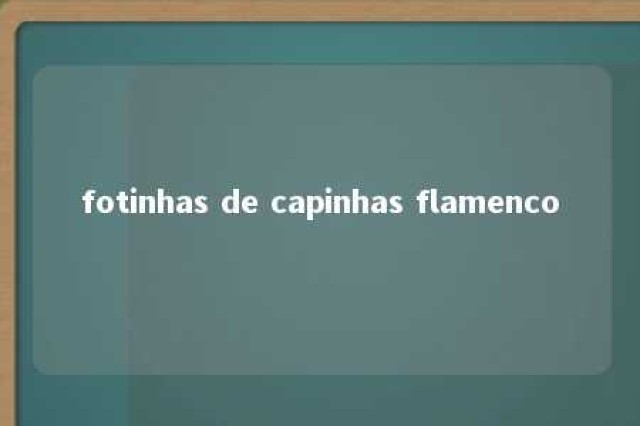 fotinhas de capinhas flamenco 