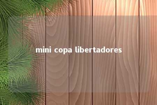 mini copa libertadores 