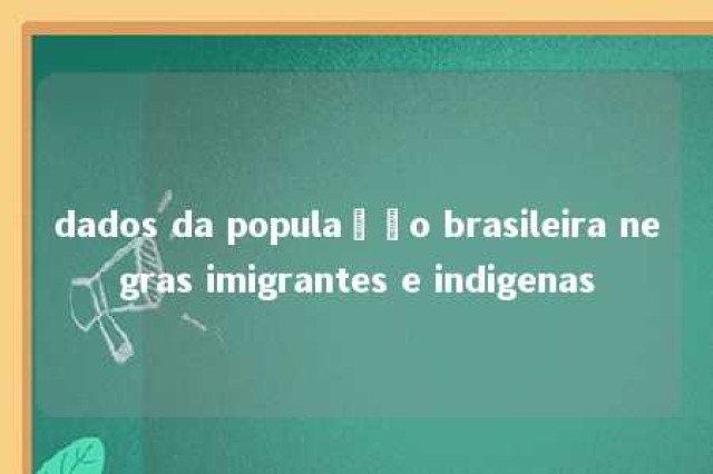 dados da população brasileira negras imigrantes e indigenas 