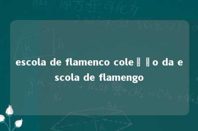 escola de flamenco coleção da escola de flamengo 