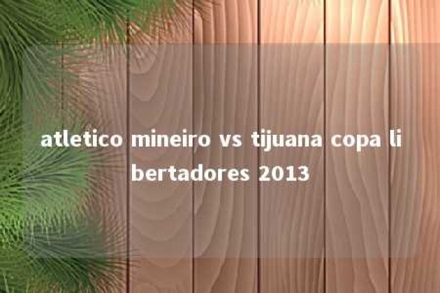 atletico mineiro vs tijuana copa libertadores 2013 