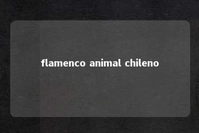 flamenco animal chileno 