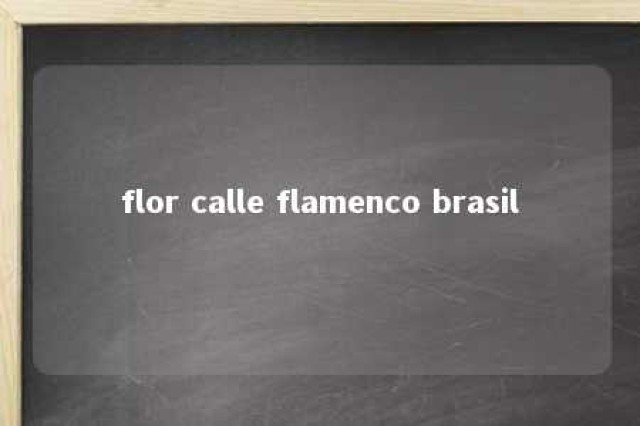 flor calle flamenco brasil 