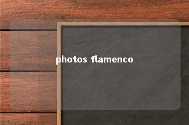 photos flamenco 