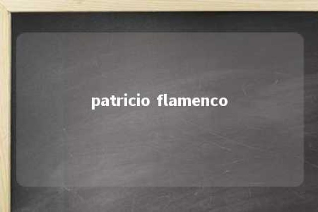 patricio flamenco 