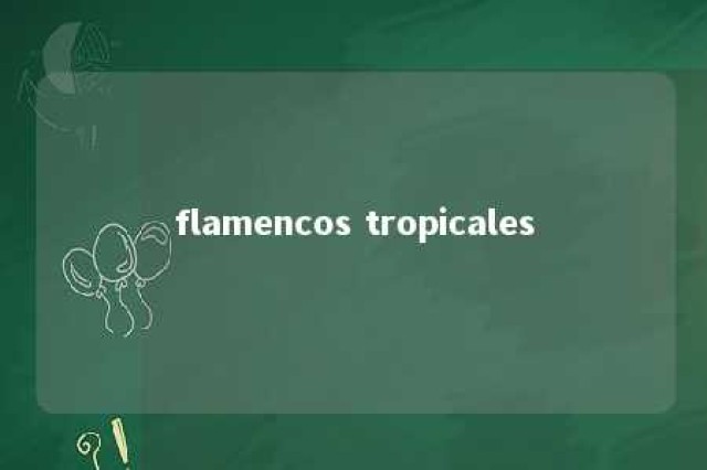 flamencos tropicales 