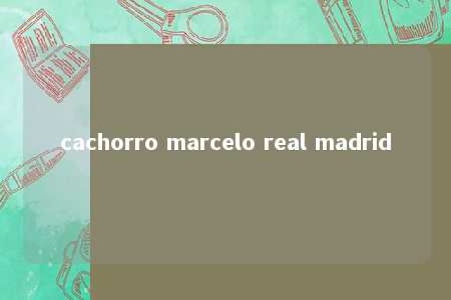 cachorro marcelo real madrid 