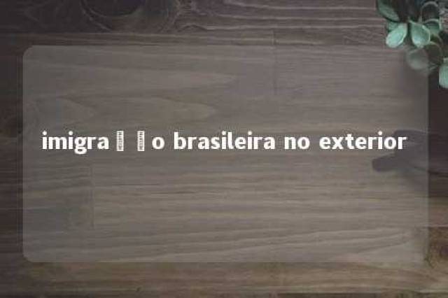 imigração brasileira no exterior 