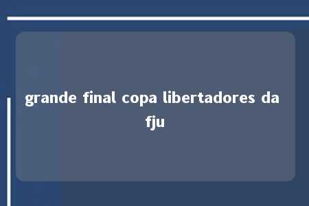 grande final copa libertadores da fju