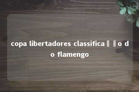 copa libertadores classificação do flamengo