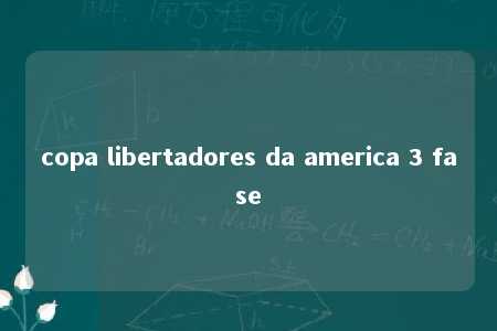 copa libertadores da america 3 fase