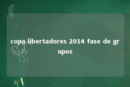 copa libertadores 2014 fase de grupos