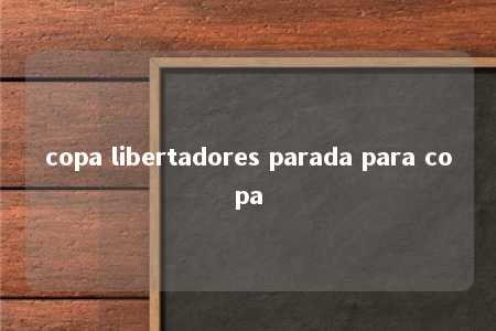 copa libertadores parada para copa