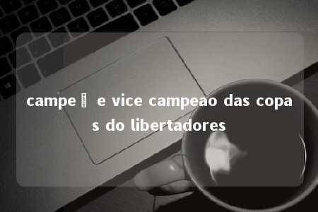 campeã e vice campeao das copas do libertadores