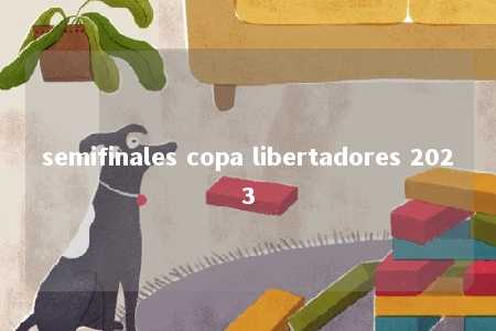 semifinales copa libertadores 2023