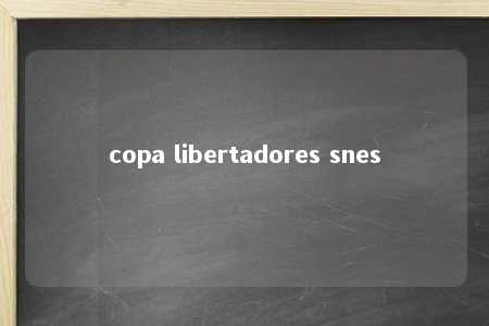 copa libertadores snes