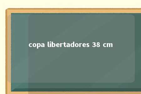 copa libertadores 38 cm