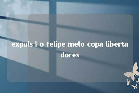 expulsão felipe melo copa libertadores