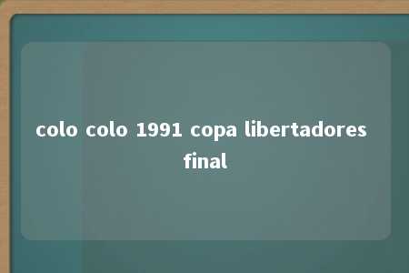 colo colo 1991 copa libertadores final