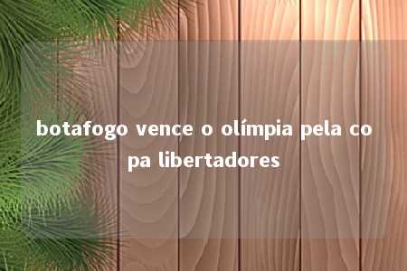 botafogo vence o olímpia pela copa libertadores