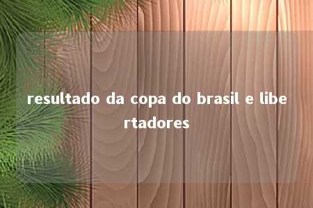 resultado da copa do brasil e libertadores