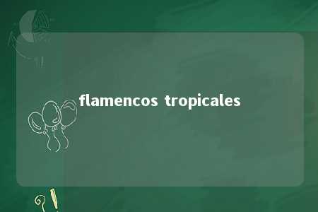 flamencos tropicales