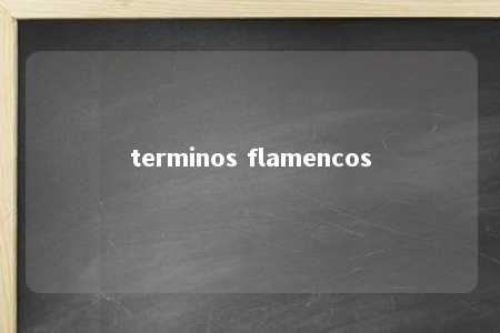 terminos flamencos