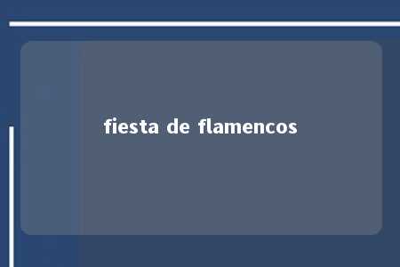 fiesta de flamencos