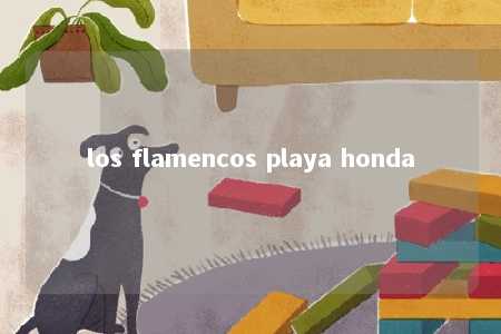 los flamencos playa honda