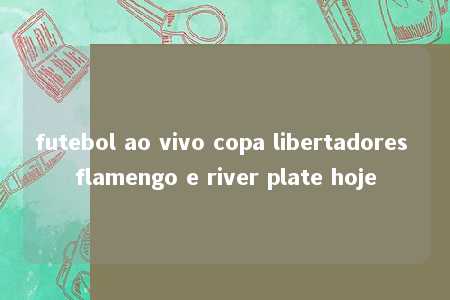 futebol ao vivo copa libertadores flamengo e river plate hoje