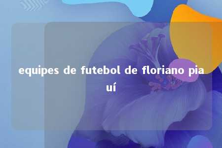 equipes de futebol de floriano piauí