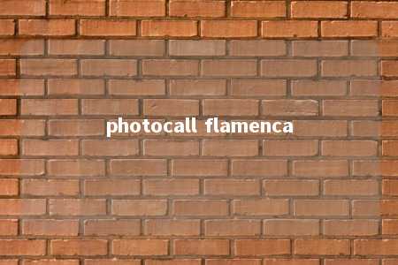 photocall flamenca