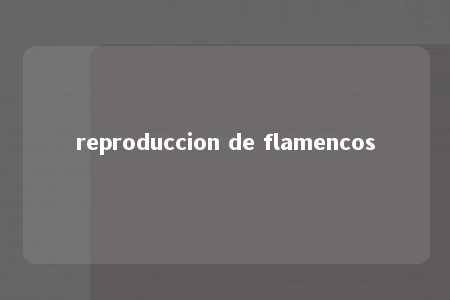 reproduccion de flamencos