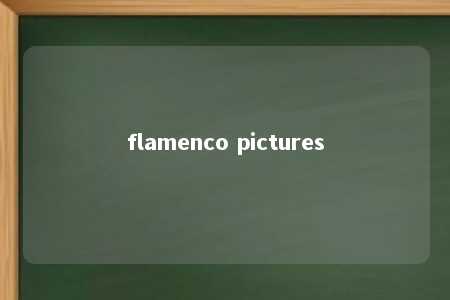 flamenco pictures