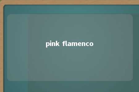 pink flamenco