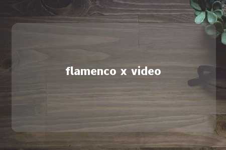 flamenco x video