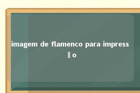 imagem de flamenco para impressão