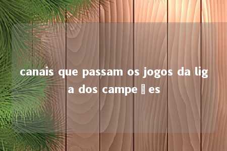 canais que passam os jogos da liga dos campeões