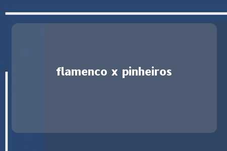 flamenco x pinheiros