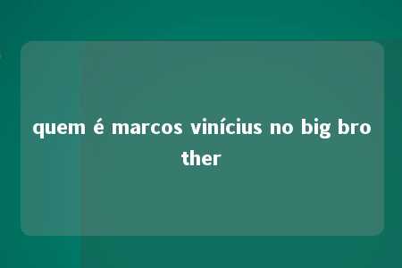 quem é marcos vinícius no big brother