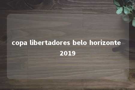 copa libertadores belo horizonte 2019