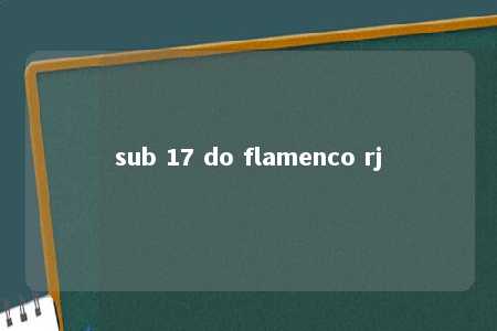 sub 17 do flamenco rj